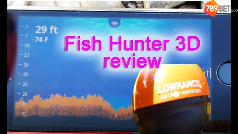 Fish Hunter 3D